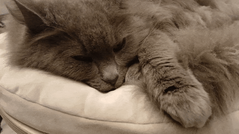 봇치의 리투아니아 여행 10화_22.gif