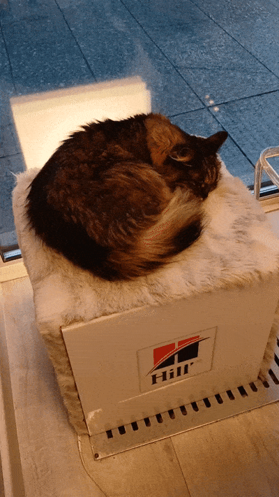 봇치의 리투아니아 여행 10화_26.gif