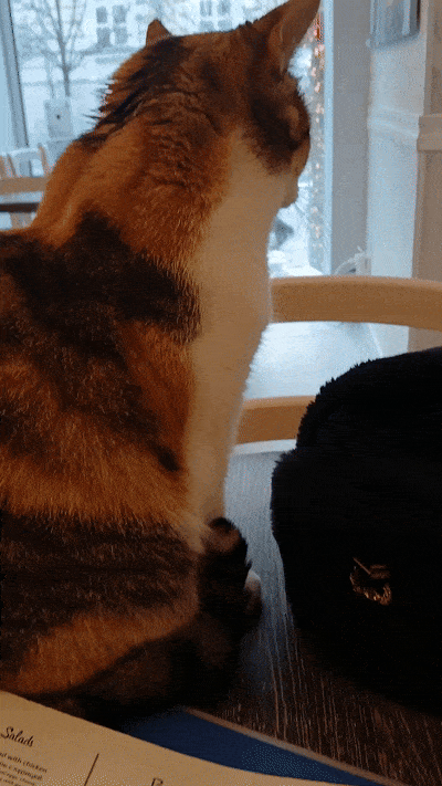 봇치의 리투아니아 여행 11화_21.gif