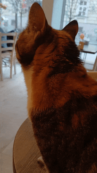 봇치의 리투아니아 여행 11화_18.gif