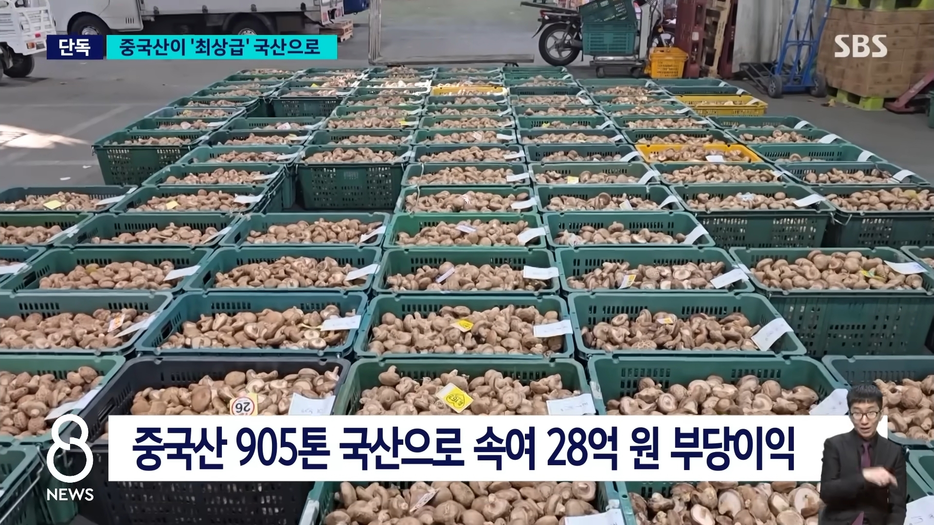 중국산 표고 국산으로 속여판매