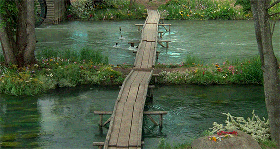 평생 흑백영화만 만들던 영화감독이 컬러영화를 만들면_11.webp