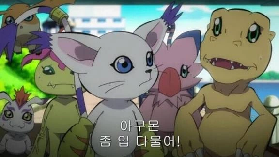 포켓몬 프레젠트 관련 커뮤니티 반응 이미지