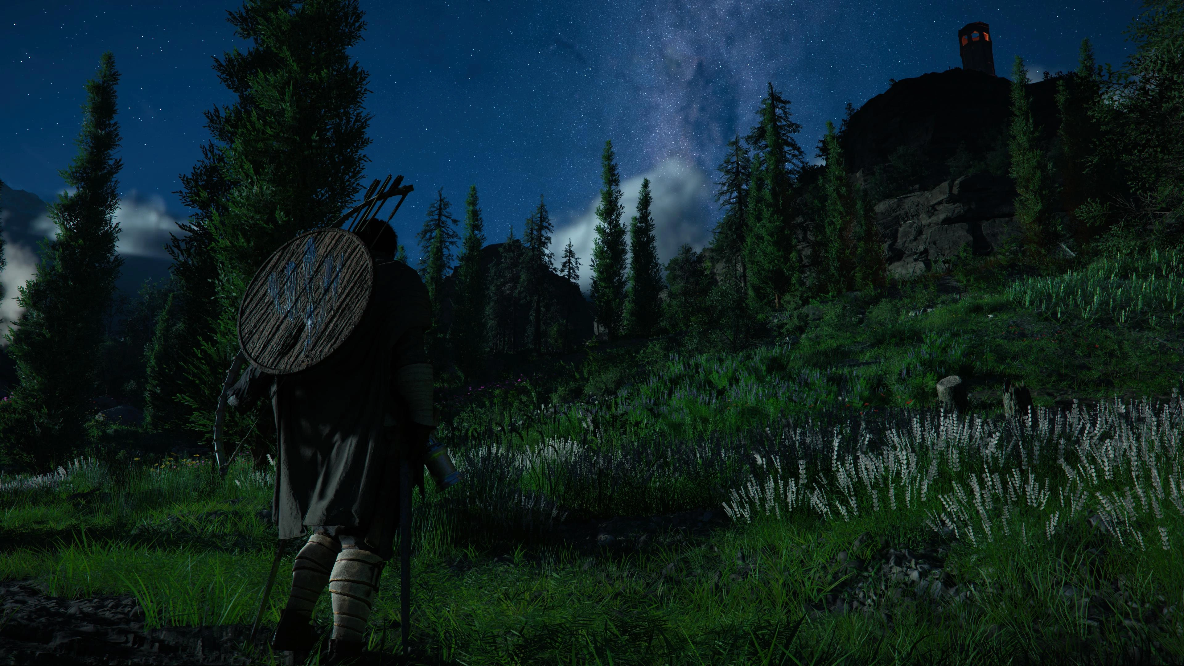 강아지 한마리 입양했습니다_3.webp