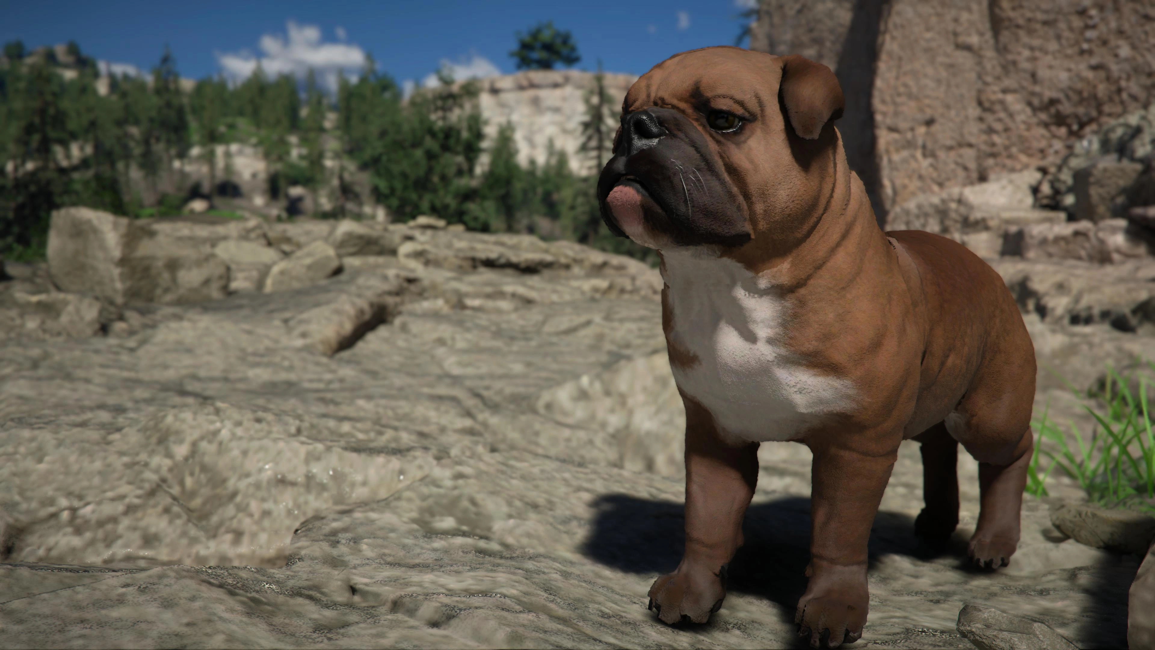 강아지 한마리 입양했습니다_1.webp