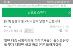 타타콘 사건 결말 | (백업)유머 게시판(2017-2018) | RULIWEB 타타콘 사건 결말 | (백업)유머 게시판(2017-2018) | Ruliweb