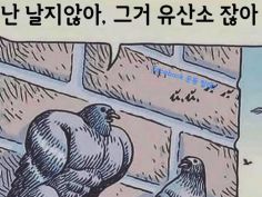 코다리와친구들 이미지