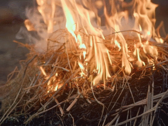 개쩌는 짚불삼겹살.gif | 유머 게시판 개쩌는 짚불삼겹살.gif | 유머 게시판 | 루리웹