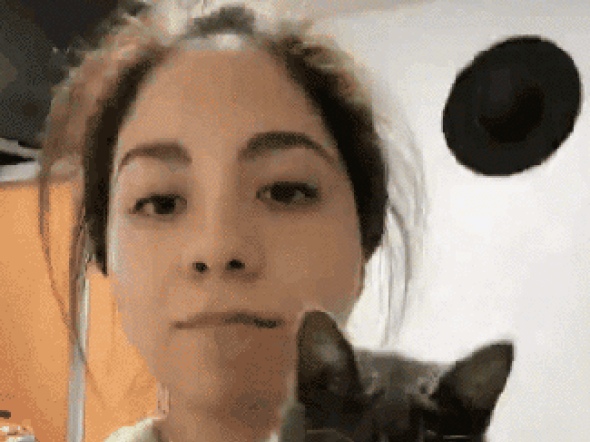 고양이놀람